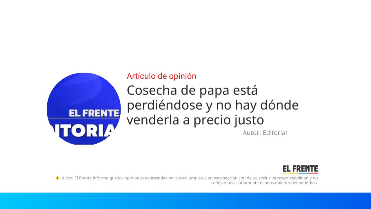 Cosecha de papa está perdiéndose y no hay dónde venderla a precio justo imagen de la publicación