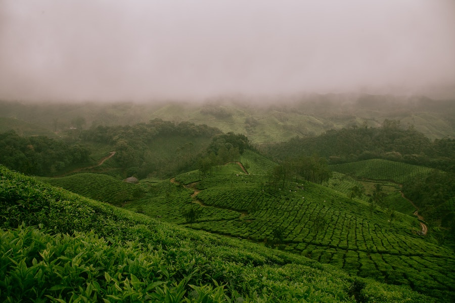 Farms in India