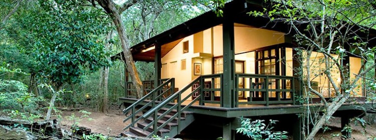 andBEYOND PHINDA FOREST LODGE