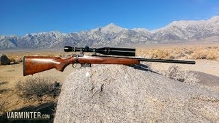 A Review and Hunt with the CZ Model 527 in .17 Hornet - Part One