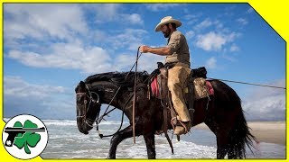 Cowboy Spurs & Saddles - J.M. Davis Arms And Historical Museum (Tour)
