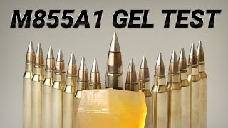 The Army's Ammo Is a Long Distance Devastator - M855A1 Gel Test