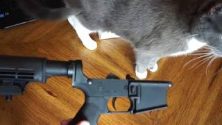 Plametto State Armory PSA PA-15 Classic Blemished Lower Unboxing.