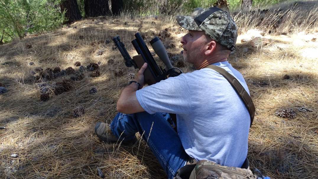 Varmint Hunting With Air Rifles