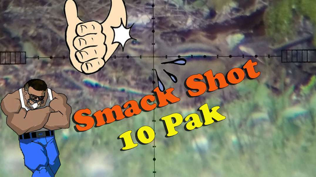 Smack Shot 10 PAK
