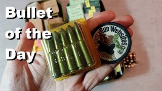 Bullet of the Day: German Plastic 7.62x39mm Rounds