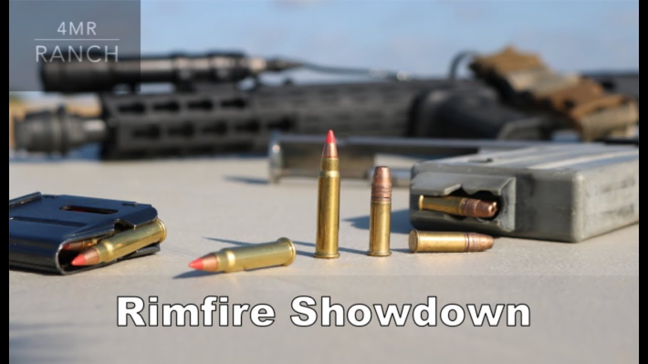 17 HMR vs. 22 LR | Rimfire Showdown