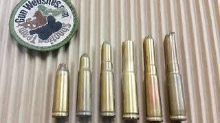 Finish Dummy Ammo ? - Bullet of the Day