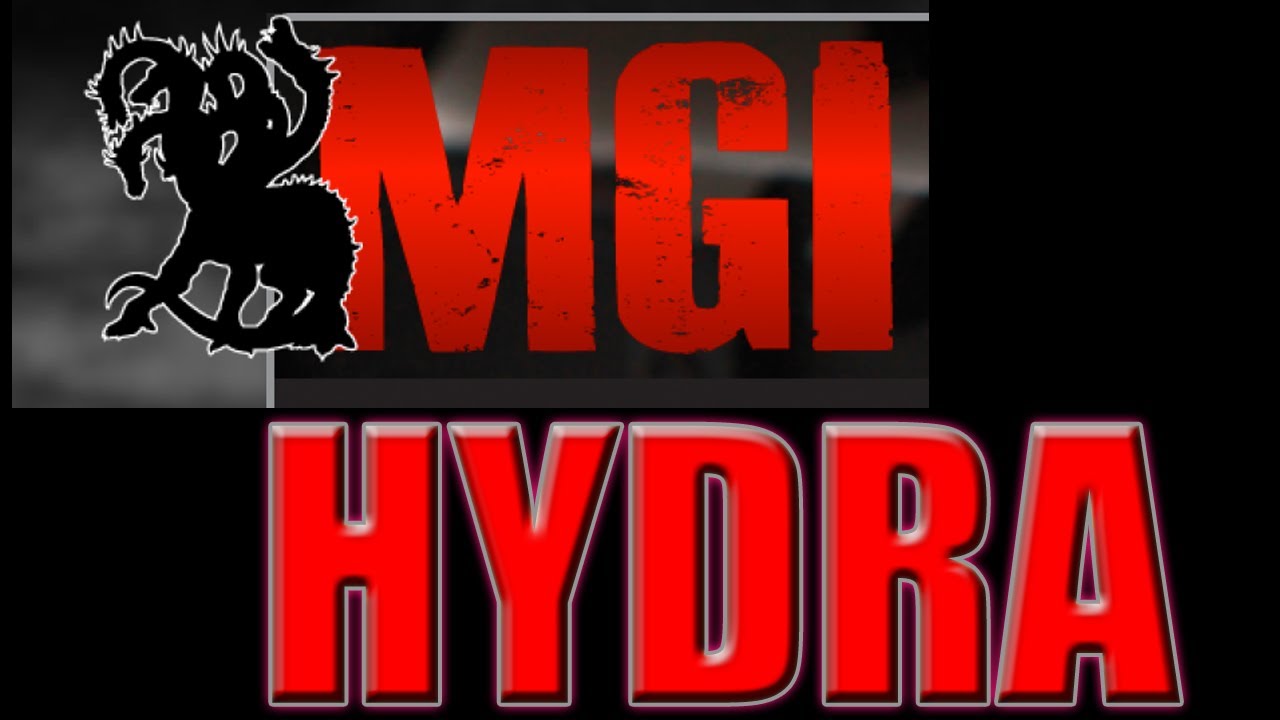 MGI Hydra Modular Weapons Sysytem Follow Up