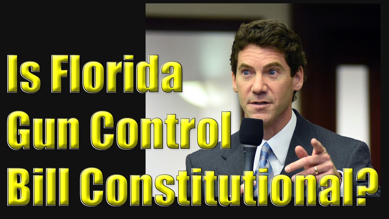 Is Florida Gun Control Bill Constitutional?!? With Florida house Member Jay Fant