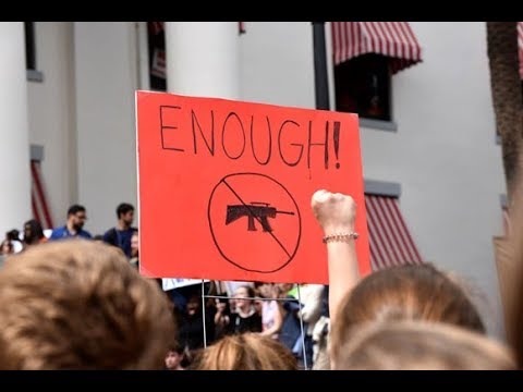 Florida Group Seeks Constitutional Amendment to Ban Assault Weapons