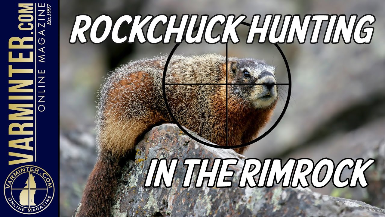 Rockchuck Hunting in the Rimrock