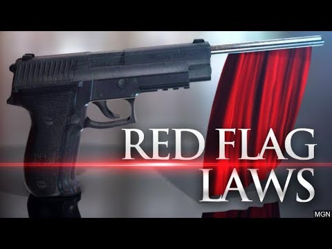 BREAKING: Nation Red Flag Bill in the Works - SHARE THIS!