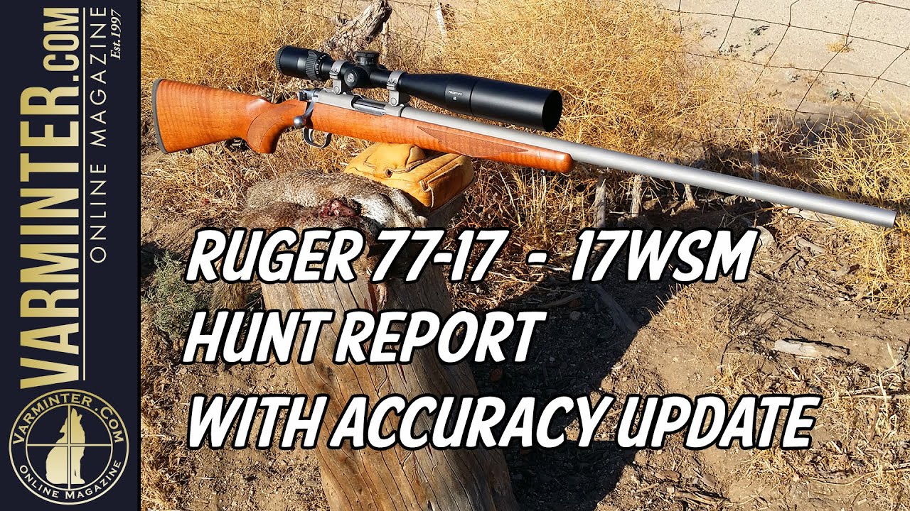 Ruger 77/17 - 17WSM Hunt Report Part One with Accuracy Update