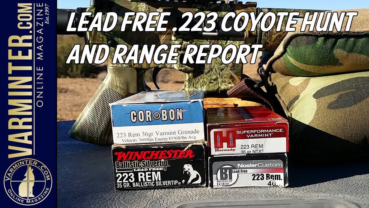 Lead Free .223 Coyote Hunt and Range Report