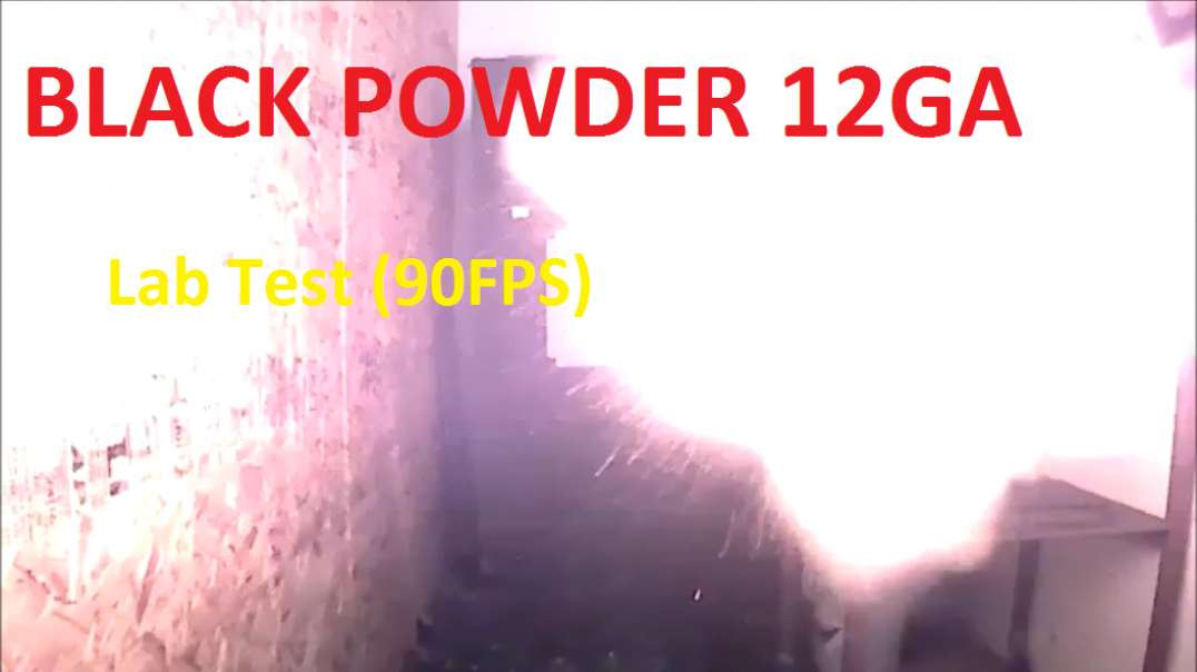12Ga Black Powder