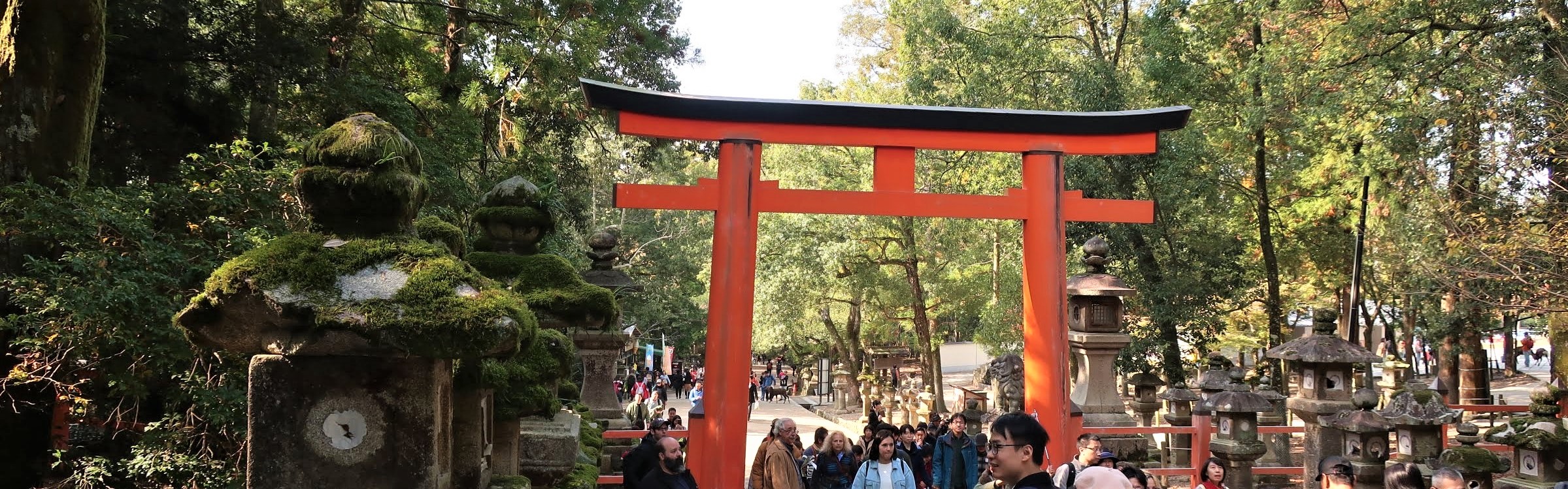 one of the red gates in Nara Park