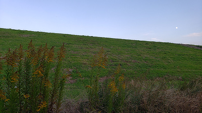 A green bank along the road with the moon visible.