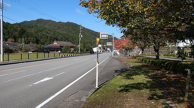 Empty road with fall trees alongside.