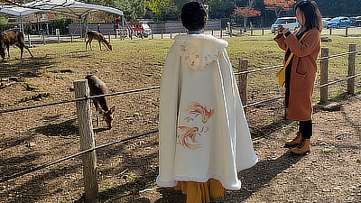 A lady in a lovely cloak feeds some deer.