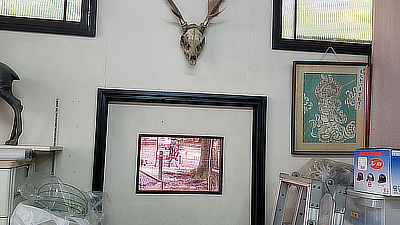 A deer skull on the wall at the rear of a shop.