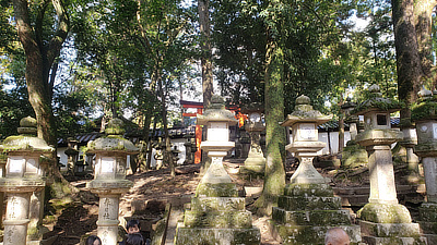 Stone lanterns along a pathway in Deer Park.