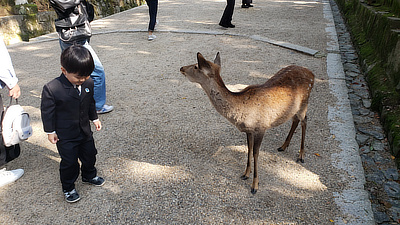 A kid and a deer get ready to pose for pictures.