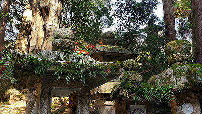 Stone lanterns with moss and leaves growing out of them.