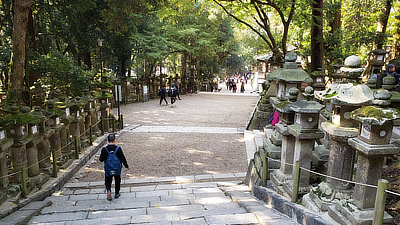 Walking down stone steps in Deer Park.