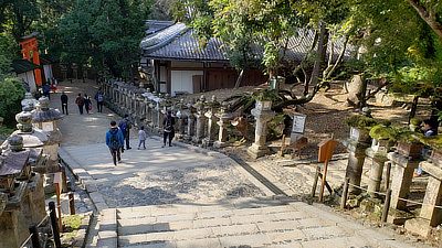 Stone steps lined with lanterns in Deer Park, Nara.