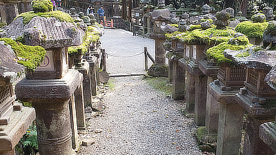 Stone and moss lanterns in Deer Park in Nara.