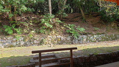 The woods behind a shrine in Deer Park, Nara.