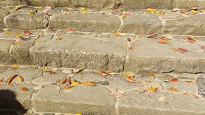 Fall leaves on stone steps in the shrine courtyard.