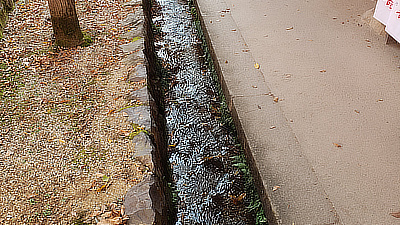 A small gulley along one of the pathways in the shrine.