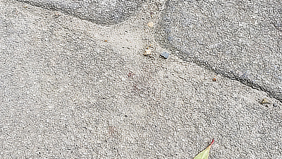 A leaf on the stone walkway in the shrine.