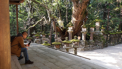 A man checks his phone near a small shrine in Deer Park, Nara.