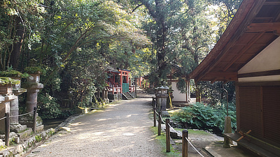 A rear path through some of the woods behind one of the main shrines.