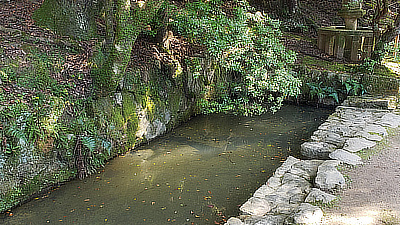 A pool of water and leaves along one of the park's paths.