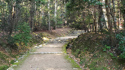 A stone pathway leading further into the woods of the park.