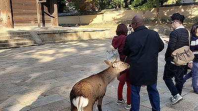 A man forgets how to signal he has no food left, gets a curious nibble.