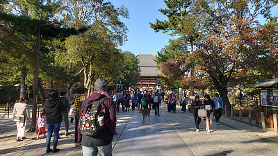 Walking along the path to Todaiji.