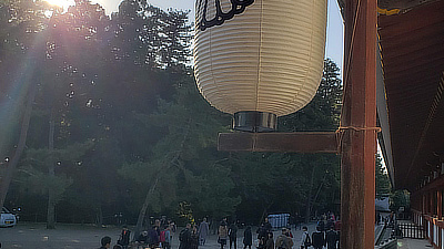 A lantern on a post outside Todaiji.