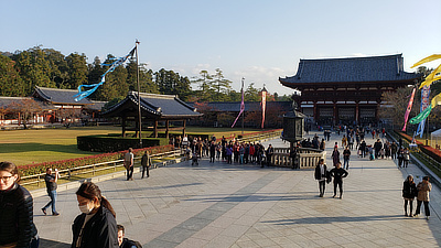 On the steps of Todaiji, looking back.