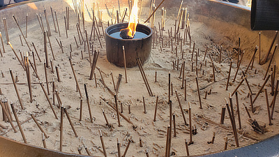 Burnt incense sticks in the sand.