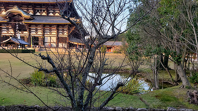 A small pond in the lawn in front of Todaiji.