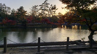 A small lake at sunset in Deer Park, Nara.