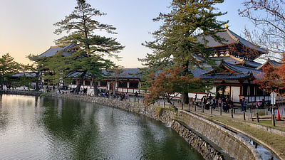 The edge of a small lake outside Todaiji in Deer Park. 