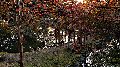 Fall leaves at sunset in a garden outside Todaiji.