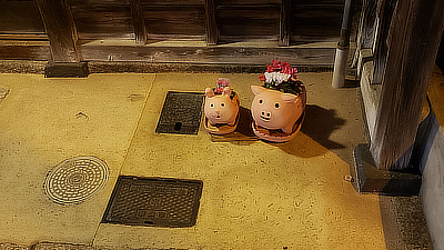 Two pig planters on a doorstep in Nara, Japan.