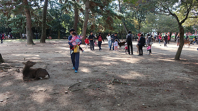 A man introduces his kid to a friendly deer.